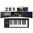 Artist 25 Icon Pro Audio