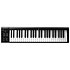 Artist 49 Icon Pro Audio