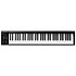 Artist 61 Icon Pro Audio