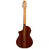 Performer MS-14RS + Housse Martinez