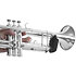 AV65 Anti Gouttes Trompette BG