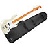MetroExpress Standard JJ Champagne Metallic Maple Sadowsky