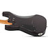 C-1 Standard Plus Transparent Black Burst Schecter