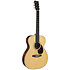 OM-28E Golden Era + étui Martin Guitars