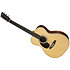 OM-28E Golden Era LH + étui Martin Guitars