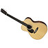 OM-28E Golden Era LR Baggs LH + étui Martin Guitars