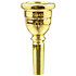 4880E-SM4X Ultra euphonium plaquée or SM4X Denis Wick
