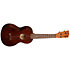 Ukulele Centennial Concert + housse Martin Guitars