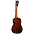 Ukulele Centennial Concert + housse Martin Guitars