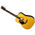 D-28 Billy Strings LH + étui Martin Guitars