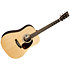 D-X2E Billy Strings + housse Martin Guitars