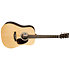 D-X2E Billy Strings + housse Martin Guitars