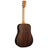 D-X2E Billy Strings + housse Martin Guitars