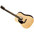 D-X2E Billy Strings LH + housse Martin Guitars