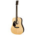 D-X2E Billy Strings LH + housse Martin Guitars