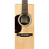 D-X2E Billy Strings LH + housse Martin Guitars