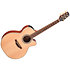GX31CE-NS Natural Satin 3/4 Takamine
