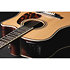 Dreadnought Cutaway Electro P10DC Takamine