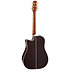 Dreadnought Cutaway Electro P10DC Takamine