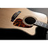 Dreadnought Cutaway Electro P10DC Takamine