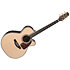Nex Cutaway Electro P10NC Takamine