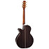 Nex Cutaway Electro P10NC Takamine