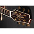 Nex Cutaway Electro P10NC Takamine