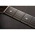Nex Cutaway Electro P10NC Takamine
