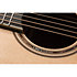 Nex Cutaway Electro P10NC Takamine