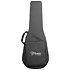 Nex Cutaway Electro RNV460C + housse Takamine