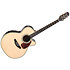 Nex Cutaway Electro RNV460C + housse Takamine
