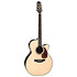 Nex Cutaway Electro RNV460C + housse Takamine