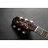 Nex Cutaway Electro RNV460C + housse Takamine