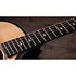 Builder's Edition 514ce Natural Next Generation + Etui Taylor