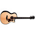 Builder's Edition 514ce Natural Next Generation + Etui Taylor