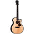Builder's Edition 514ce Natural Next Generation + Etui Taylor
