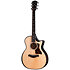 Builder's Edition 514ce Natural Next Generation + Etui Taylor