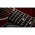Builder's Edition 514ce Kona Burst Next Generation + Etui Taylor