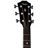 Builder's Edition 514ce Kona Burst Next Generation + Etui Taylor