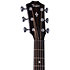 Builder's Edition 524ce Next Generation + Etui Taylor