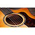 614ce Next Generation + Etui Taylor