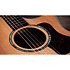 714ce Next Generation + Etui Taylor