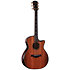 Builder's Edition 914ce Hoduran Rosewood/Sinker Redwood Next Generation + Etui Taylor