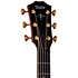 Builder's Edition 914ce Hoduran Rosewood/Sinker Redwood Next Generation + Etui Taylor