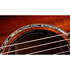 K24ce Special Edition Next Generation + Etui Taylor