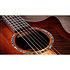 K24ce Special Edition Next Generation + Etui Taylor