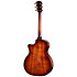 K24ce Special Edition Next Generation + Etui Taylor