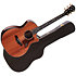 PS14ce Honduran Rosewood/Sinker Redwood Next Generation + Etui Taylor