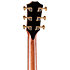 PS14ce Honduran Rosewood/Sinker Redwood Next Generation + Etui Taylor