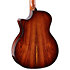 PS14ce Honduran Rosewood/Sinker Redwood Next Generation + Etui Taylor
